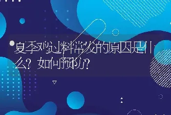 夏季鸡过料常发的原因是什么？如何预防？