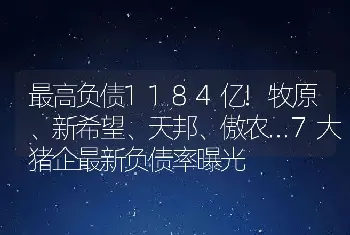 最高负债1184亿!牧原、新希望、天邦、傲农…7大猪企最新负债率曝光