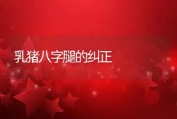 乳猪八字腿的纠正