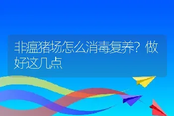 非瘟猪场怎么消毒复养？做好这几点