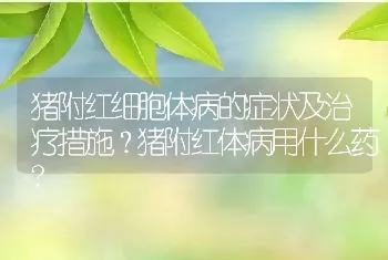 猪附红细胞体病的症状及治疗措施？猪附红体病用什么药?