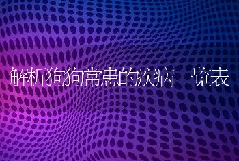 解析狗狗常患的疾病一览表