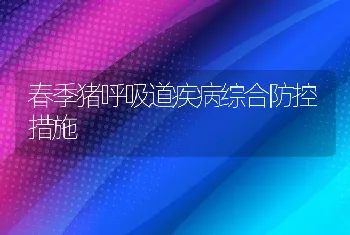 春季猪呼吸道疾病综合防控措施