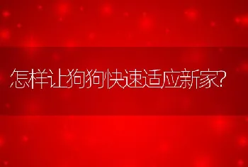 怎样让狗狗快速适应新家?