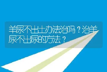 羊尿不出土办法治吗？治羊尿不出尿的方法？