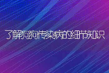 了解狗狗传染病的细节知识