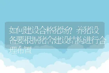 如何建设合格猪场？养猪设备要根据猪舍建设结构进行合理布置