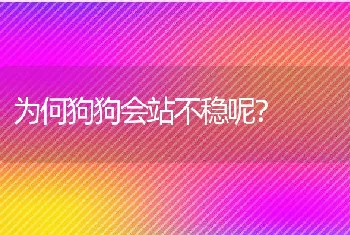 为何狗狗会站不稳呢？