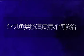 常见鱼类肠道疾病如何防治