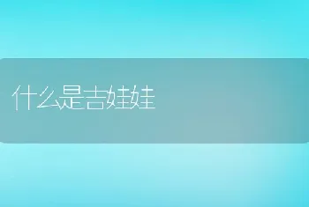 什么是吉娃娃