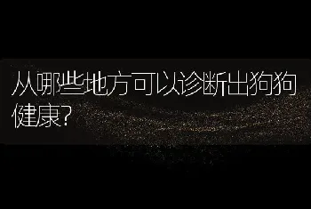 从哪些地方可以诊断出狗狗健康？