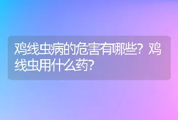 鸡线虫病的危害有哪些？鸡线虫用什么药？