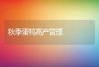 秋季蛋鸭高产管理