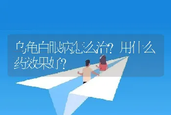 乌龟白眼病怎么治？用什么药效果好？