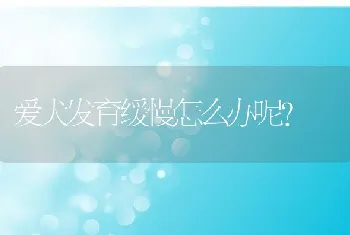 爱犬发育缓慢怎么办呢？