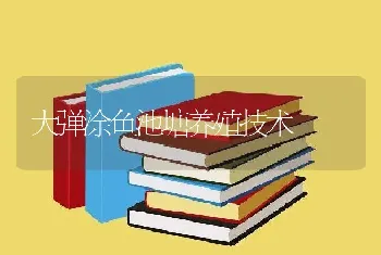 大弹涂鱼池塘养殖技术