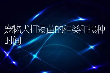 宠物犬打疫苗的种类和接种时间