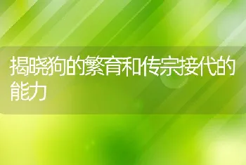 揭晓狗的繁育和传宗接代的能力