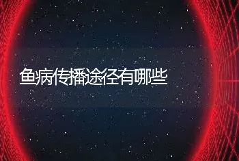 鱼病传播途径有哪些