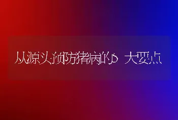 从源头预防猪病的5大要点