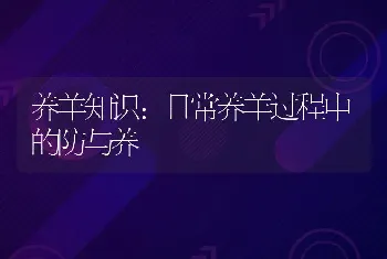 养羊知识：日常养羊过程中的防与养