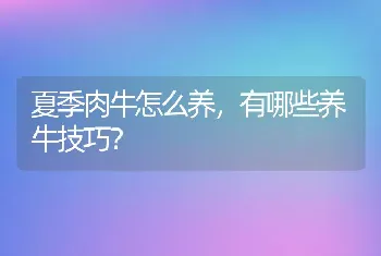 夏季肉牛怎么养，有哪些养牛技巧？