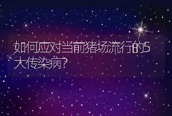 如何应对当前猪场流行的5大传染病？