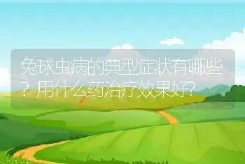 兔球虫病的典型症状有哪些？用什么药治疗效果好?