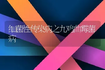 细菌性传染病之九鸡曲霉菌病