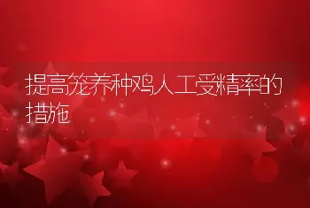 提高笼养种鸡人工受精率的措施