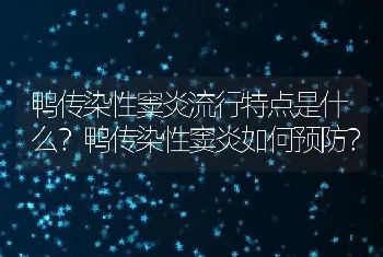 鸭传染性窦炎流行特点是什么？鸭传染性窦炎如何预防？