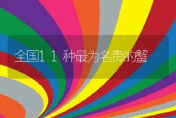 鱼中毒与泛塘的判别及解救方法