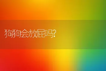 狗狗会放屁吗?