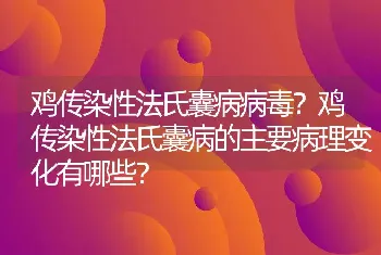 鸡传染性法氏囊病病毒？鸡传染性法氏囊病的主要病理变化有哪些？