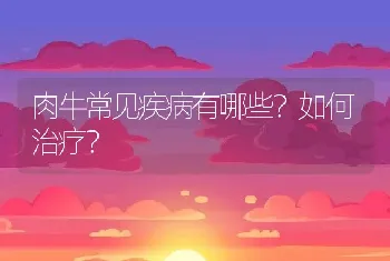 肉牛常见疾病有哪些？如何治疗？