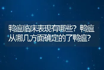 鸭瘟临床表现有哪些？鸭瘟从哪几方面确定的了鸭瘟？