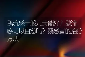 鹅流感一般几天能好？鹅流感可以自愈吗？鹅感冒的治疗方法