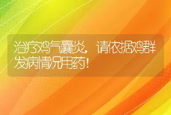 治疗鸡气囊炎，请依据鸡群发病情况用药！