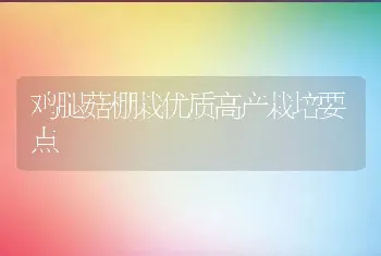 鸡腿菇棚栽优质高产栽培要点