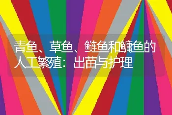 青鱼、草鱼、鲢鱼和鳙鱼的人工繁殖：出苗与护理