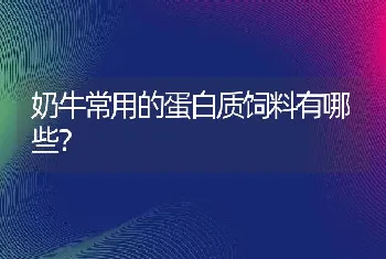 奶牛常用的蛋白质饲料有哪些？