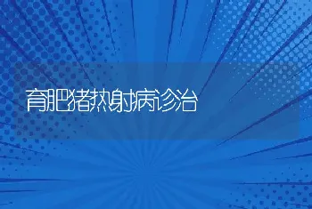 育肥猪热射病诊治