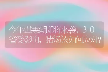 今年强寒潮即将来袭，30省受影响，猪场该如何应对？