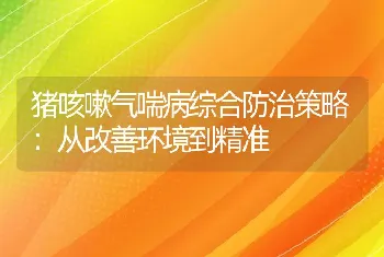 猪咳嗽气喘病综合防治策略：从改善环境到精准