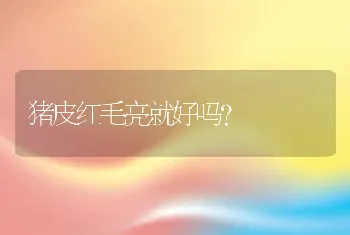 猪皮红毛亮就好吗？