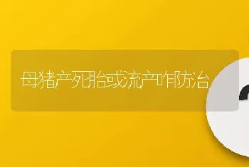 母猪产死胎或流产咋防治