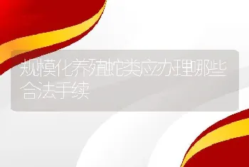 规模化养殖蛇类应办理哪些合法手续