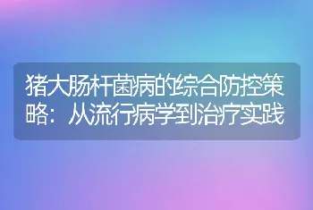 猪大肠杆菌病的综合防控策略：从流行病学到治疗实践