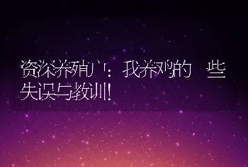 资深养殖户：我养鸡的一些失误与教训！