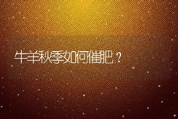 鸭流感怎么治疗？治疗鸭流感的特效药？